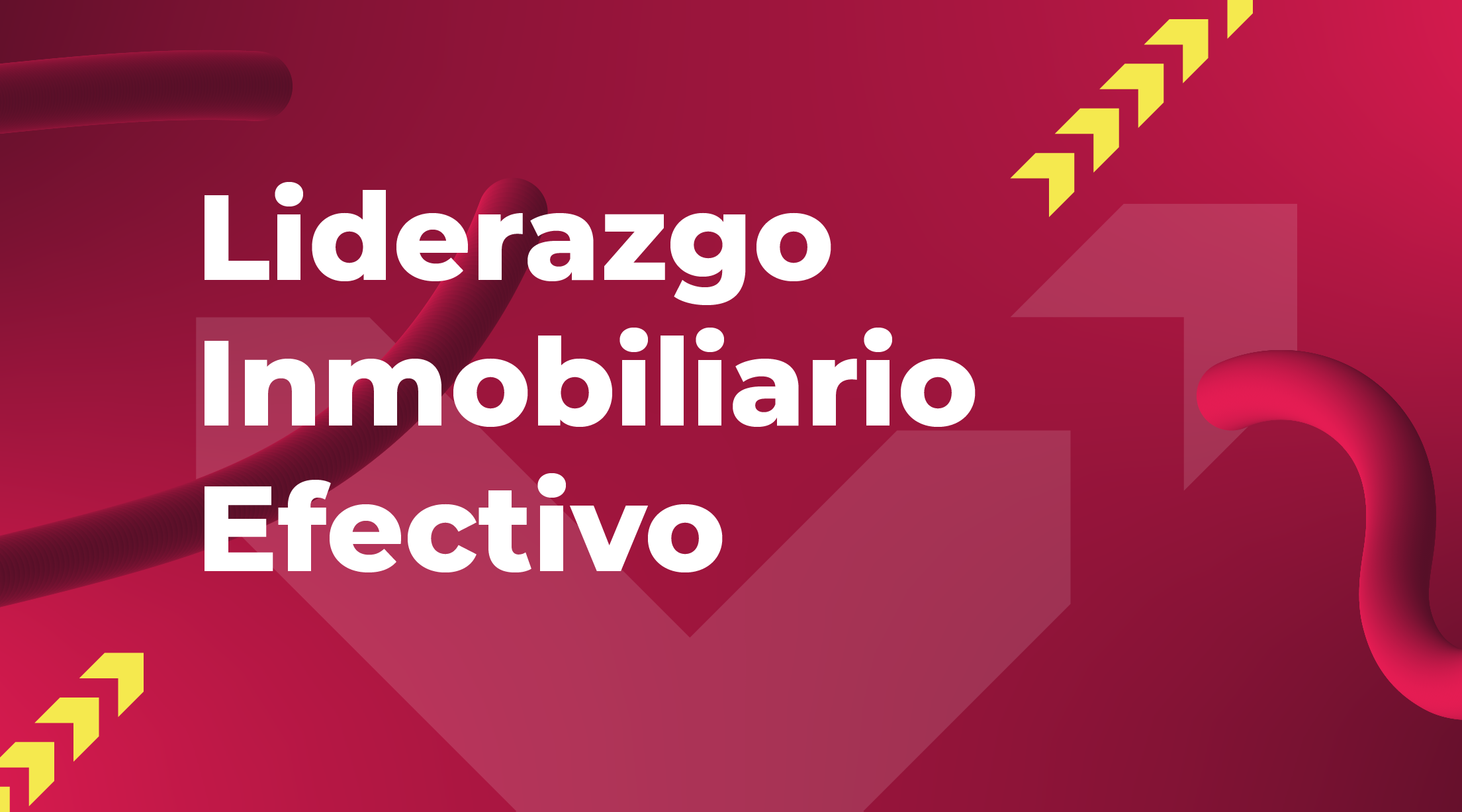 Liderazgo Inmobiliario Efectivo